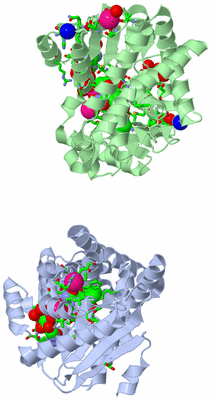 Image Asym./Biol. Unit - sites