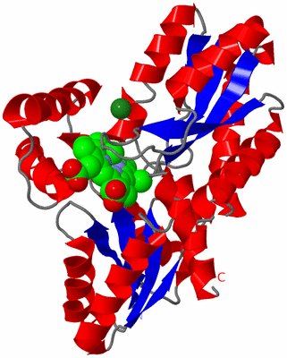 Image Asym./Biol. Unit