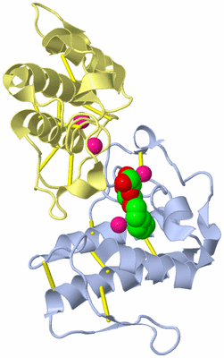 Image Biological Unit 1
