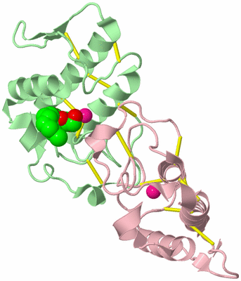 Image Biological Unit 2