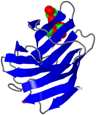 Image Asymmetric Unit