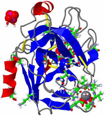 Image Asym./Biol. Unit - sites