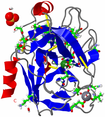 Image Asym./Biol. Unit - sites