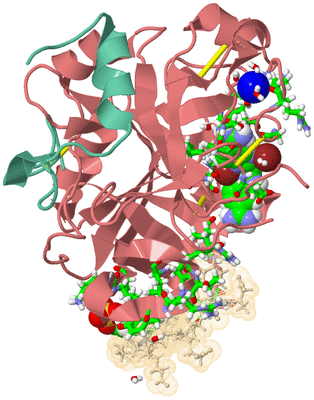 Image Asym./Biol. Unit - sites