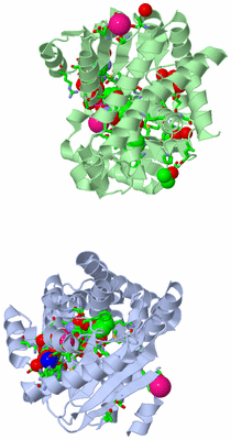 Image Asym./Biol. Unit - sites