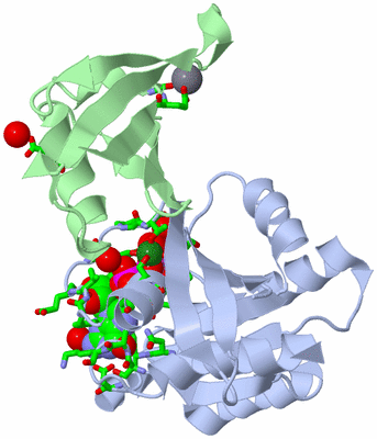 Image Asym./Biol. Unit - sites