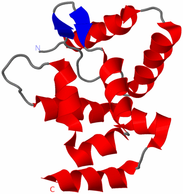 Image NMR Structure - model 1