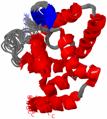 Image NMR Structure - all models