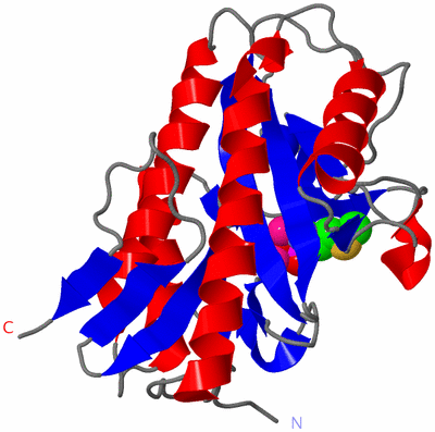 Image Asym./Biol. Unit