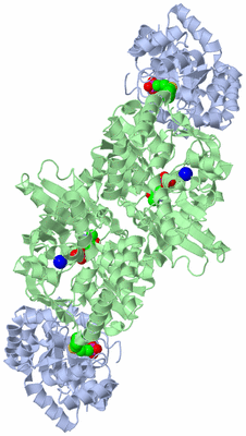 Image Biological Unit 1