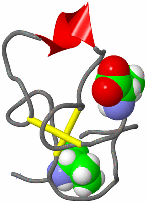 Image NMR Structure - model 1