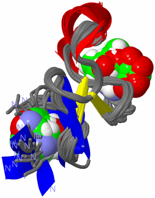 Image NMR Structure - all models