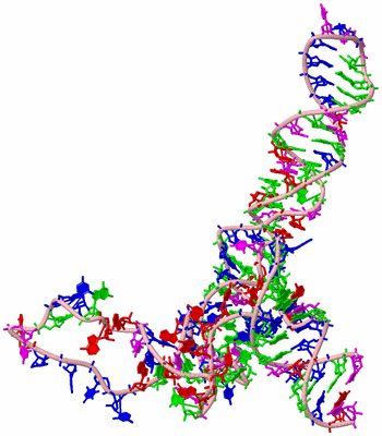 Image Asym./Biol. Unit