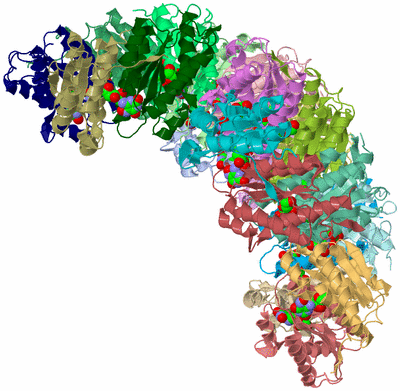 Image Biological Unit 1