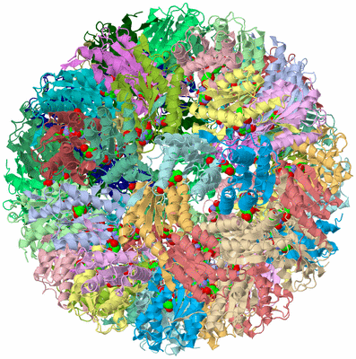 Image Biological Unit 2