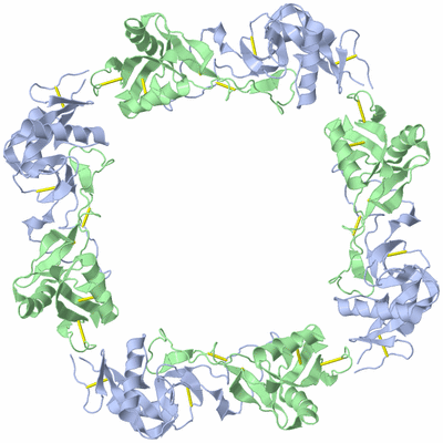 Image Biological Unit 1