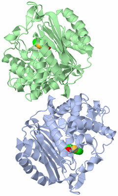 Image Asym./Biol. Unit