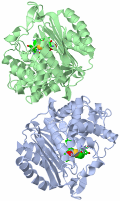 Image Asym./Biol. Unit - sites