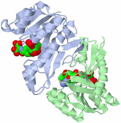 Image Asym./Biol. Unit