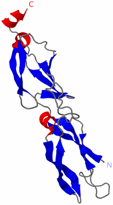 Image Asymmetric Unit