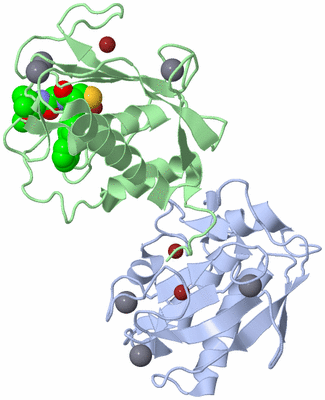 Image Biological Unit 2