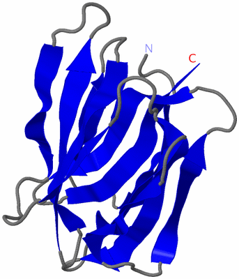 Image Asymmetric Unit