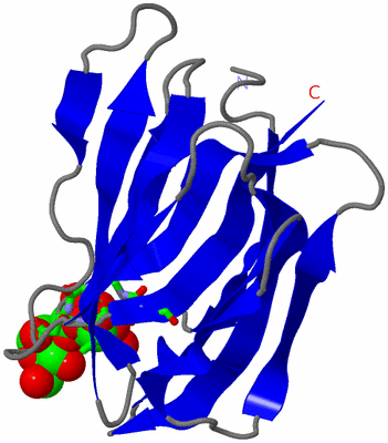 Image Asym. Unit - sites