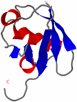 Image NMR Structure - model 1