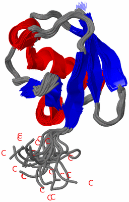 Image NMR Structure - all models