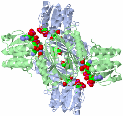 Image Biological Unit 1