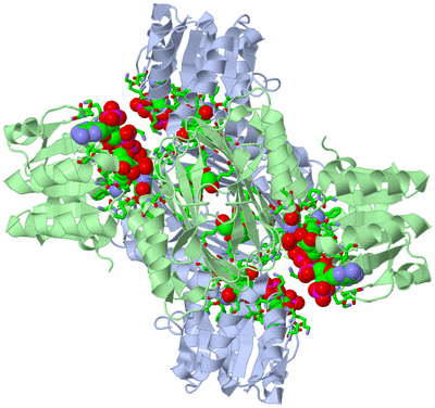 Image Biol. Unit 1 - sites