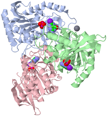 Image Asym./Biol. Unit