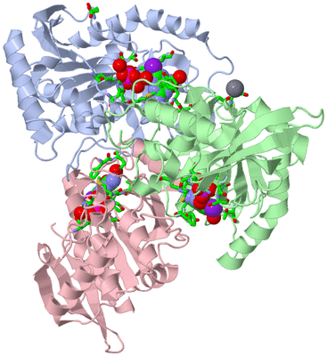 Image Asym./Biol. Unit - sites
