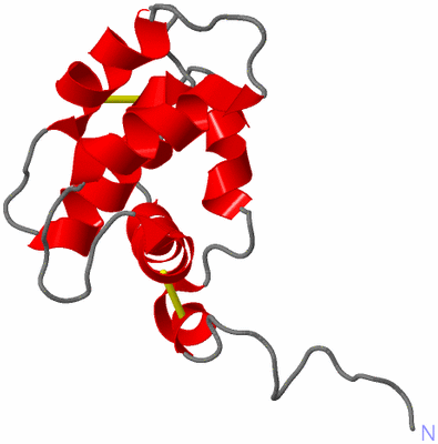 Image NMR Structure - model 1