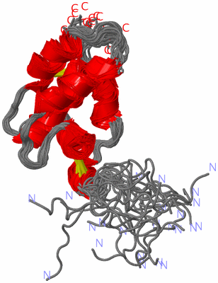 Image NMR Structure - all models