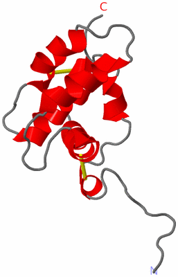 Image NMR Structure - model 1