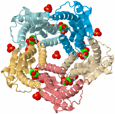 Image Biological Unit 2