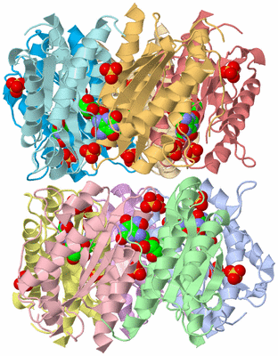 Image Biological Unit 3