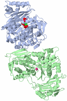 Image Asym./Biol. Unit