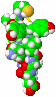 Image NMR Structure - model 1