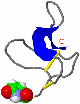 Image NMR Structure - model 1