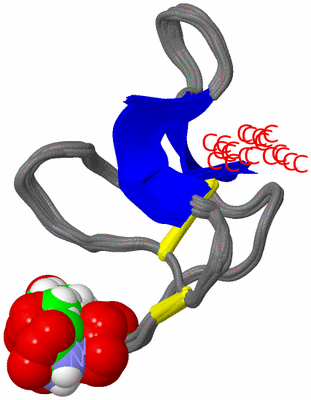 Image NMR Structure - all models
