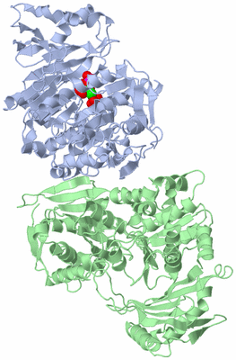 Image Asym./Biol. Unit