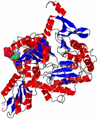 Image Asymmetric Unit