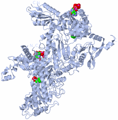 Image Biological Unit 1