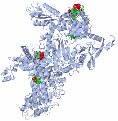 Image Biol. Unit 1 - sites