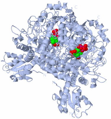 Image Biological Unit 2