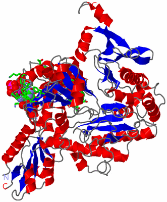 Image Asym. Unit - sites