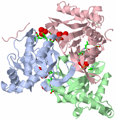 Image Asym./Biol. Unit - sites