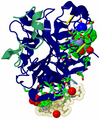 Image Asym./Biol. Unit - sites